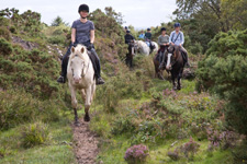 Ireland-Connemara/Galway-Slieve Aughty Mountains Ride